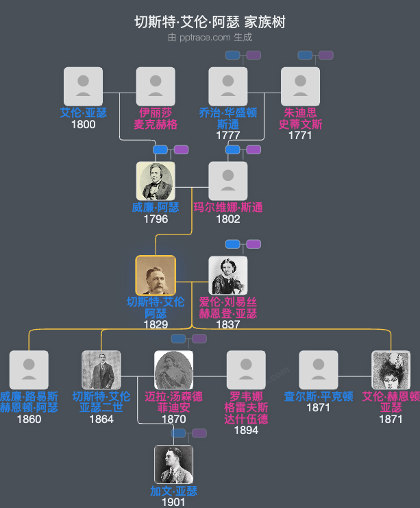 切斯特·艾伦·阿瑟家族树全览