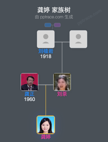 龚婷 家族树全览