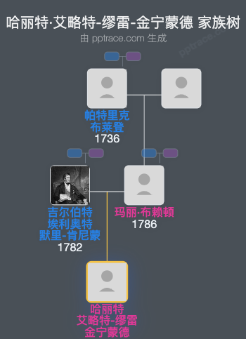 哈丽特·艾略特-缪雷-金宁蒙德家族树全览