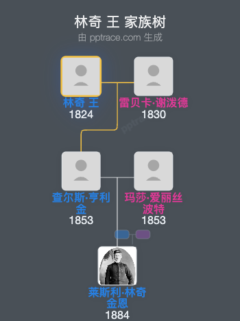 林奇 王家族树全览