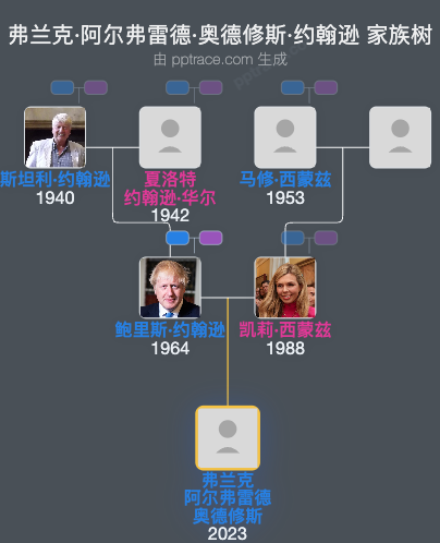 弗兰克·阿尔弗雷德·奥德修斯·约翰逊家族树全览