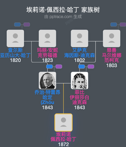 埃莉诺·佩西拉·哈丁家族树全览