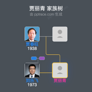 贾丽青 家族树全览