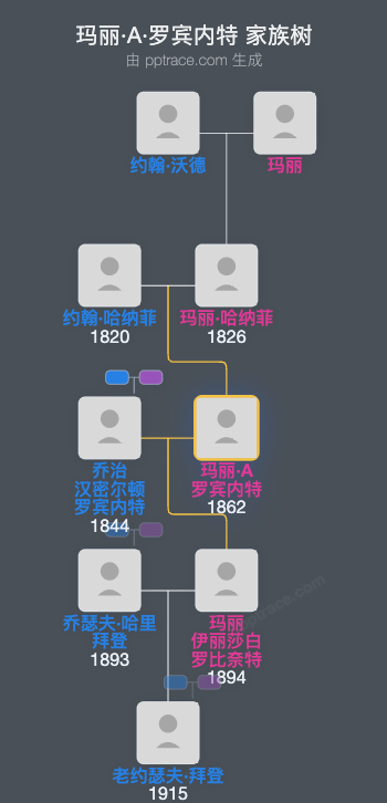 玛丽·A·罗宾内特家族树全览
