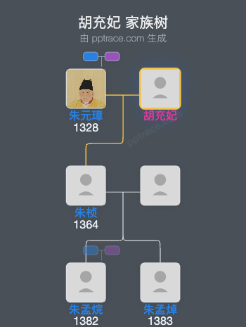 胡充妃家族树全览