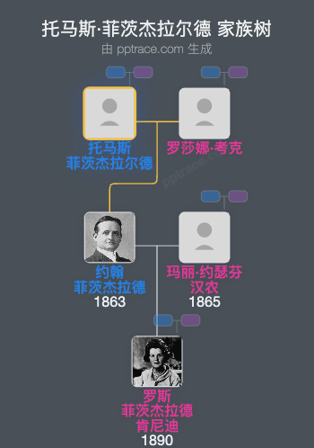 托马斯·菲茨杰拉尔德家族树全览