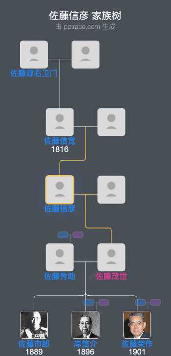 佐藤信彦家族树全览