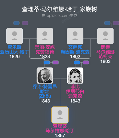 查理蒂·马尔维娜·哈丁家族树全览