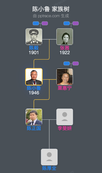 陈小鲁 家族树全览