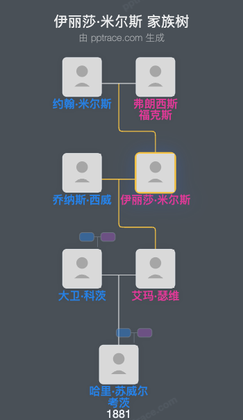 伊丽莎·米尔斯家族树全览