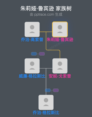 朱莉娅·鲁宾逊家族树全览