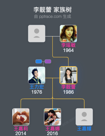 李靓蕾 家族树全览