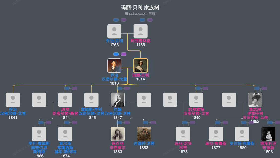 玛丽·贝利家族树全览