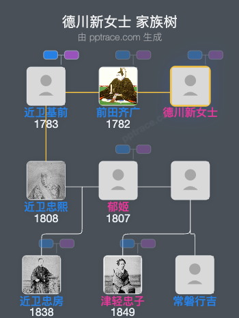 德川新女士家族树全览