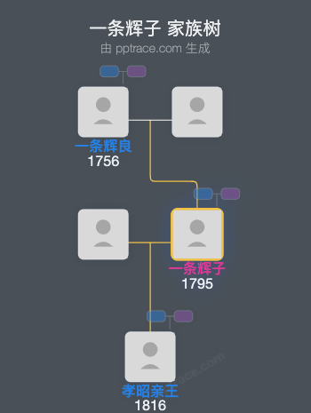 一条辉子家族树全览