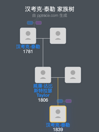 汉考克·泰勒家族树全览