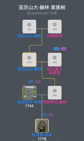 亚历山大·赫林家族树全览