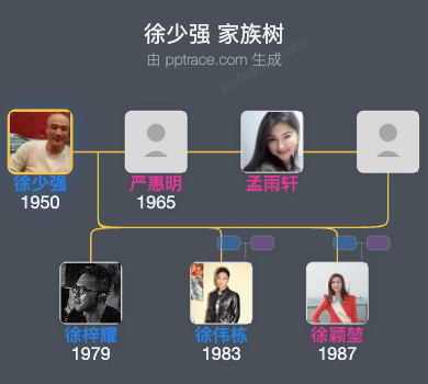 徐少强 家族树全览