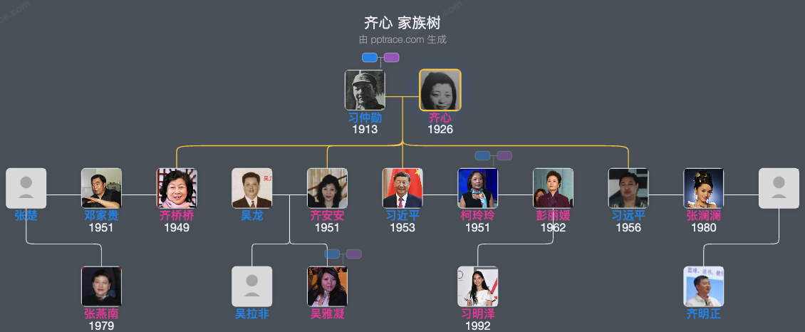 齐心 家族树全览