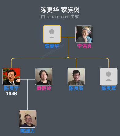 陈更华 家族树全览