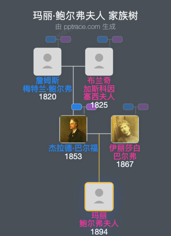 玛丽·鲍尔弗夫人家族树全览