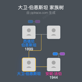 大卫·伯恩斯坦家族树全览