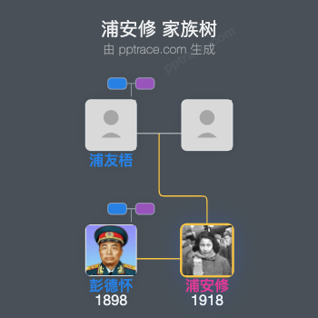 浦安修 家族树全览