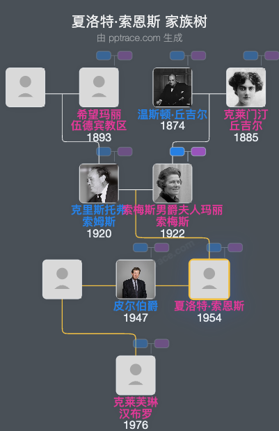 夏洛特·索恩斯家族树全览