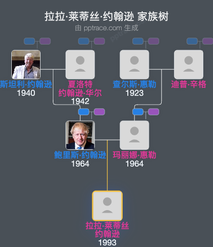 拉拉·莱蒂丝·约翰逊家族树全览