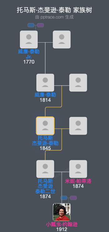 托马斯·杰斐逊·泰勒家族树全览