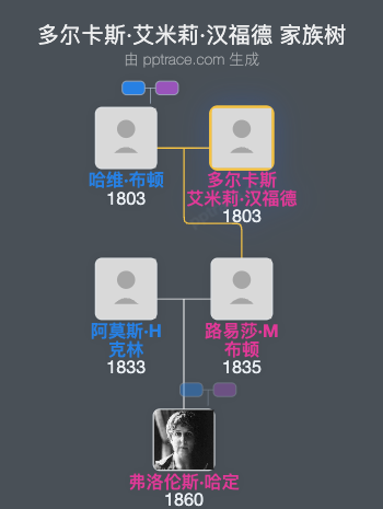 多尔卡斯·艾米莉·汉福德家族树全览