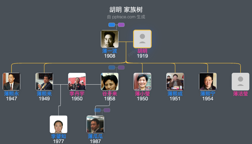 胡明 家族树全览