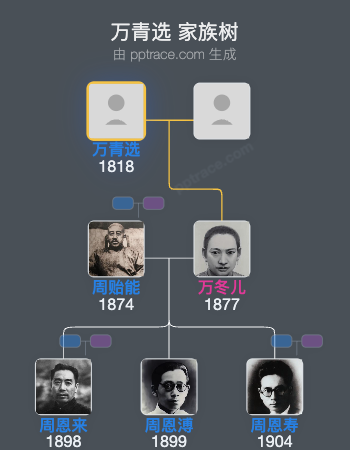 万青选 家族树全览