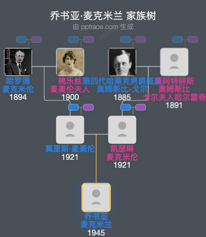 乔书亚·麦克米兰家族树全览