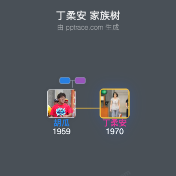 丁柔安 家族树全览