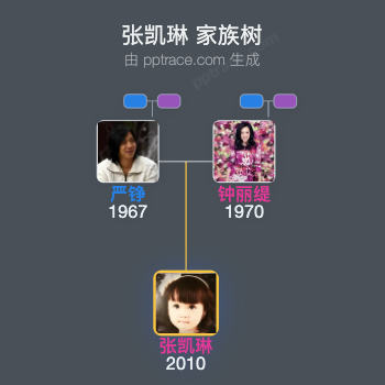 张凯琳家族树全览