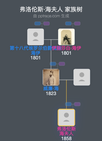 弗洛伦斯·海夫人家族树全览