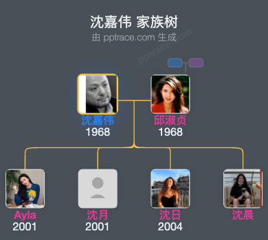 沈嘉伟家族树全览