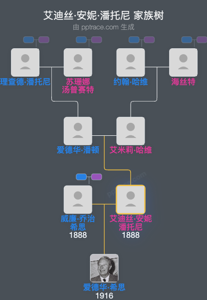 艾迪丝·安妮·潘托尼家族树全览