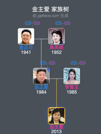 金主爱 家族树全览