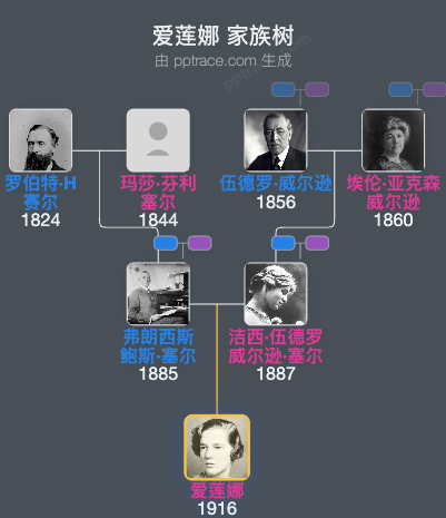 爱莲娜家族树全览