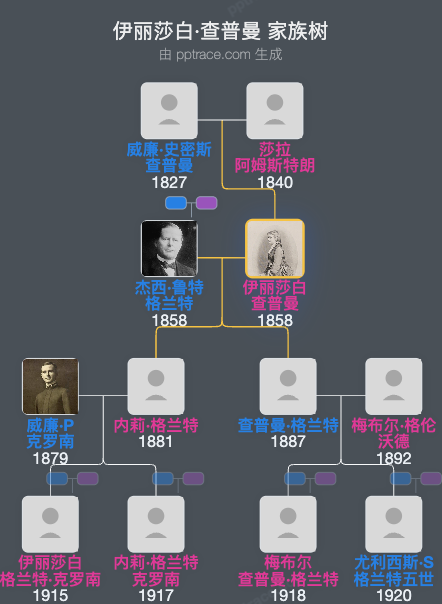 伊丽莎白·查普曼家族树全览