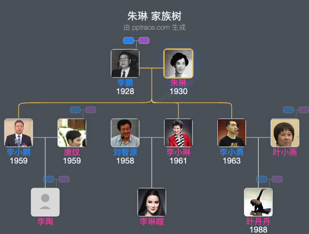 朱琳 家族树全览