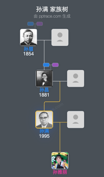 孙满家族树全览