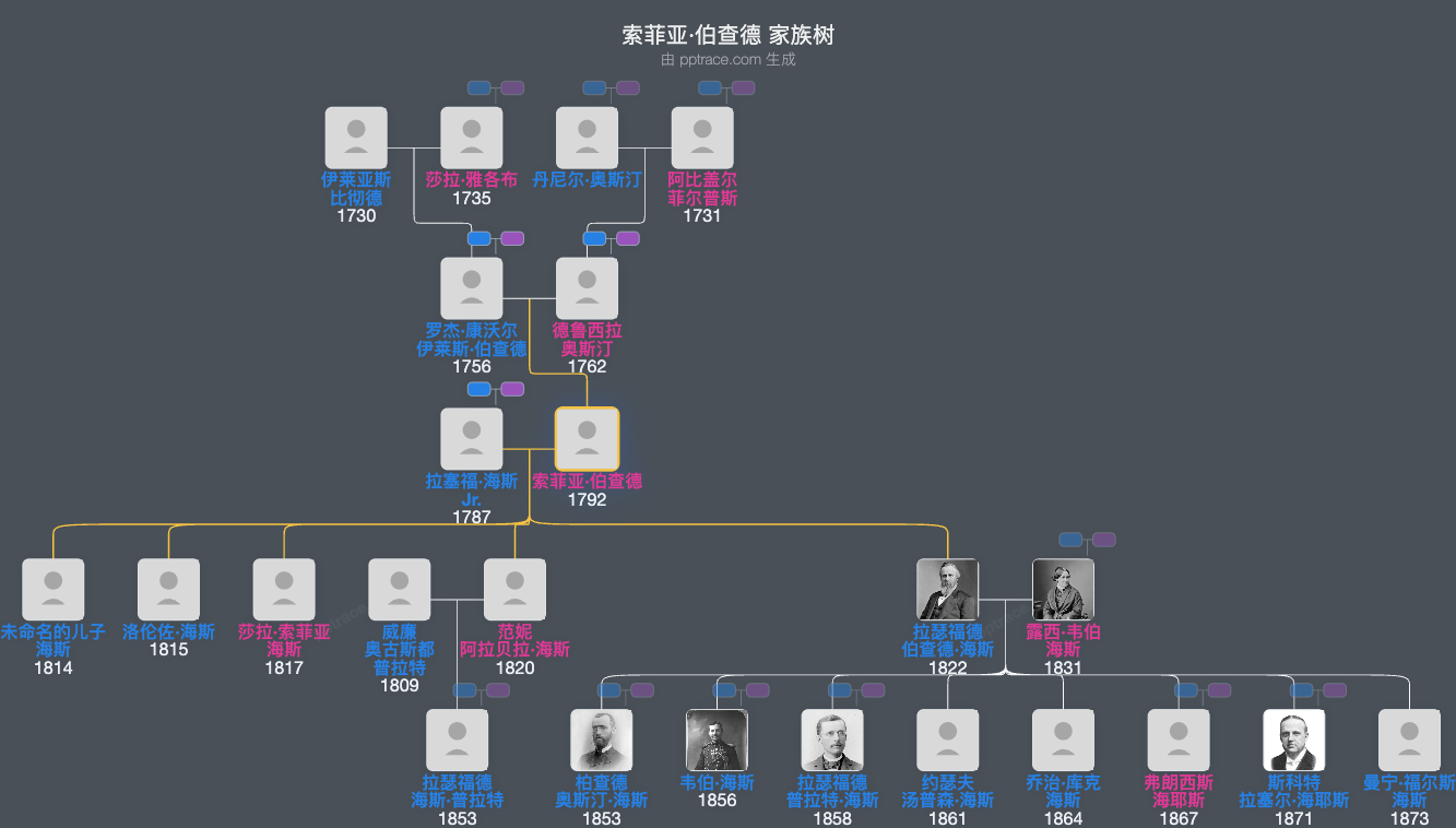索菲亚·伯查德家族树全览