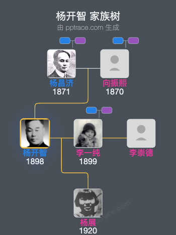杨开智 家族树全览