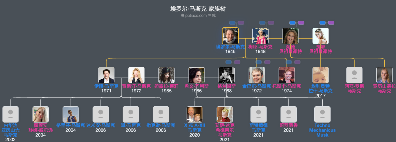 埃罗尔·马斯克 家族树全览