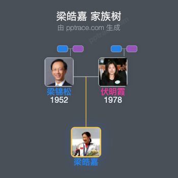 梁皓嘉 家族树全览