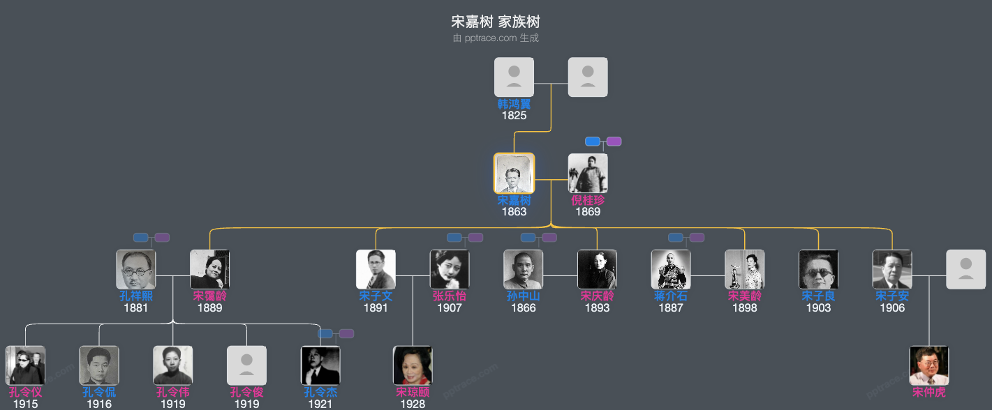 宋嘉树 家族树全览
