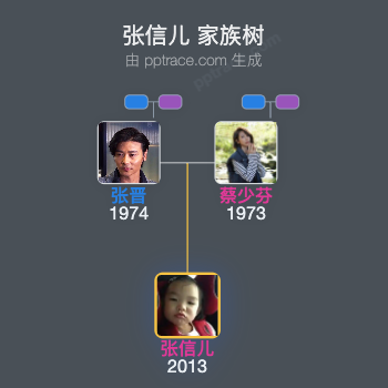 张信儿 家族树全览